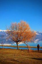 Macédoine - Lac Prespa
