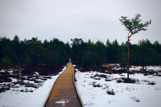 Estonie - Viru Raba - Lahemaa National Park