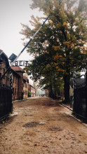 Pologne - Auschwitz-Birkenau